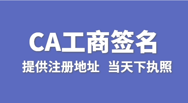 注冊(cè)公司怎么使用CA數(shù)字證書進(jìn)行簽名（工商電子簽名怎么操作）